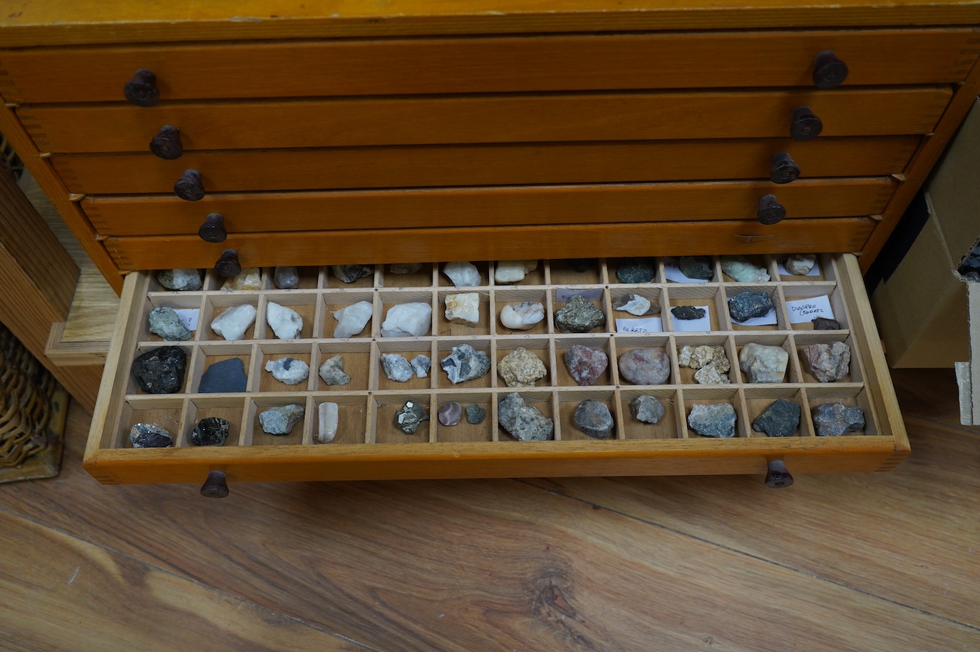 A collection of shells, rocks and specimen stones including; coral fragments, ammonites, quartz samples and other minerals, an echinoid, a selection of shells and a few reference books, most contained within two collecto